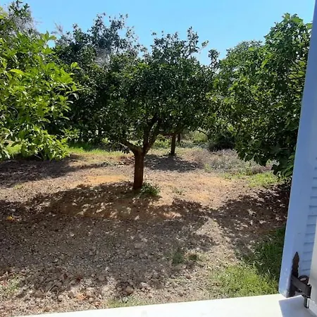 Armonia Apartment Vasiliki (Lefkada)
