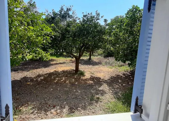 Armonia Apartamento Vasiliki